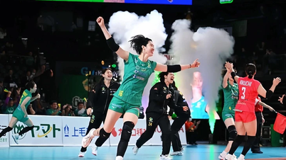 Internationella volleybollsajter hyllar vietnamesisk volleybolls guldtjej