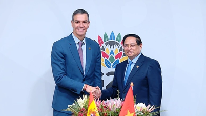 Fortalecimento da cooperação multifacetada entre o Vietname, a Espanha e os Emirados Árabes Unidos