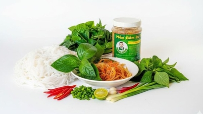 Mắm bằm Hòa Long thơm nồng vị biển