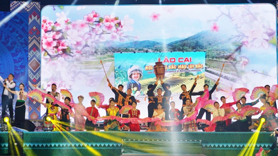 아트 나이트 "아이덴티티 인 하모니"에 대한 감상