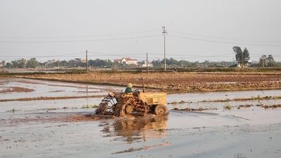 Реструктуризація сільськогосподарського сектору продовжує залишатися пріоритетним завданням.