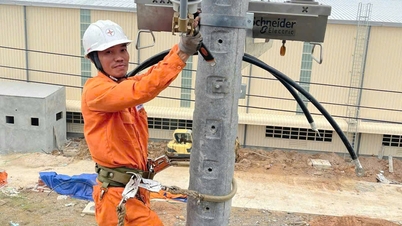 フエの電力産業の静かな「門番」