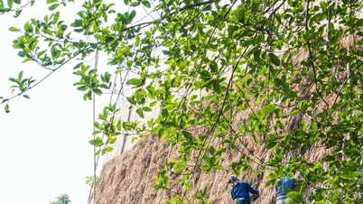 نوآوری برای حفظ میراث