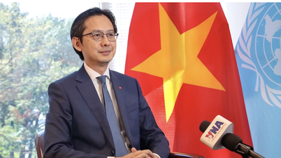 Vietnam předsedá africkému regionálnímu konzultačnímu workshopu o hodnotící konferenci NPT
