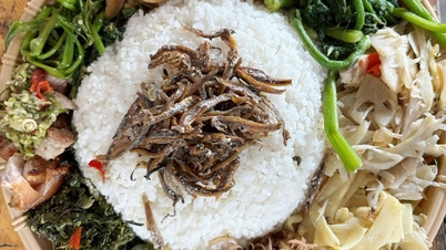 Büyük ormanın lezzetiyle zengin