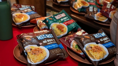 پروتئین جیرجیرک در نودل فوری: دیدگاه جدید Rec Rec