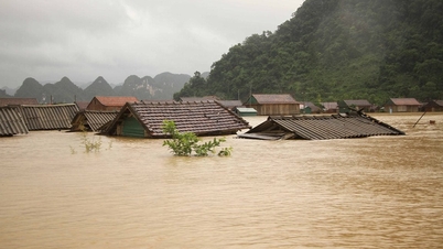 Historic floods in Central Vietnam: "My family has nothing left"