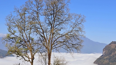 Y Ty ໃນ​ລະ​ດູ​ເມກ​ທີ່​ສວຍ​ງາມ​ທີ່​ສຸດ, ບ້ານ​ງອຍ​ທ້ວນ​ກາຍ​ເປັນ​ທະ​ເລ​ທີ່​ມີ​ສີ​ຂາວ​ມ້ວນ