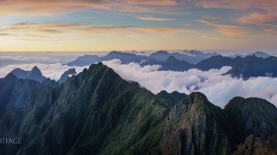 Y Ty i den vakreste skysesongen forvandles landsbyen Ngai Thau Thuong til et bølgende hvitt hav