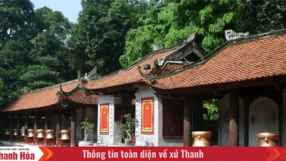 לרגל 20 שנה ליום המורשת התרבותית של וייטנאם (23 בנובמבר 2005 - 23 בנובמבר 2025): למען שימור מורשת טאנה