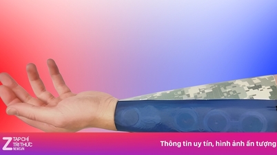 Un tejido extraño tiene la capacidad de 'comunicarse'