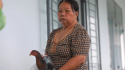 «زمان‌هایی بود که می‌خواستیم تسلیم شویم و با جریان همراه شویم»