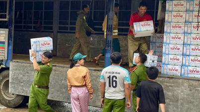 国際機関がザライ省とダクラク省の住民に緊急支援を提供