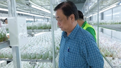 জাতীয় পরিষদের ভাইস চেয়ারম্যান লে মিন হোয়ান উচ্চ প্রযুক্তির কৃষি সমবায় পরিদর্শন করেছেন