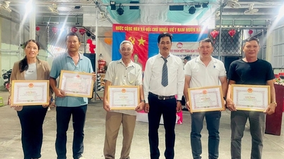 Міст для побудови великої солідарності