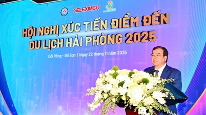 Hai Phong främjar all-säsongsturism och främjar samarbete för hållbar utveckling