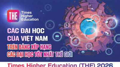 Les universités vietnamiennes dans le classement des meilleures universités mondiales (THE 2026)
