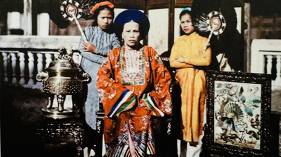 『ナムディエン - 3世紀にわたるベトナムの衣装』の何が奇妙なのでしょうか?