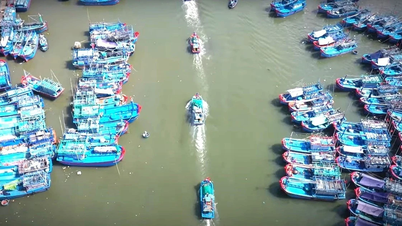 تحديث موانئ الصيد لتحقيق أهداف التنمية المستدامة