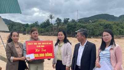 Support for households severely affected by natural disasters in Duc Trong