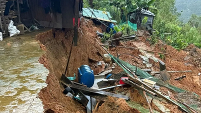 অনেক এলাকায় ভূমিধস এবং ভূমিধসের কারণে দা নাং জরুরি অবস্থা জারি করেছে।
