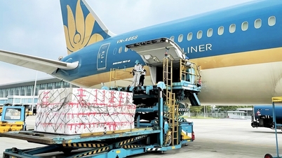 Airlines resume flights to flood-hit areas