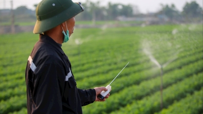 Hai Phong farmers apply technology in production
