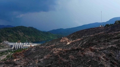 ダナンは脆弱な山岳地帯に対する新たな戦略を必要としている