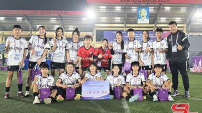 Женская футбольная команда Сон Ла завоевала бронзовую медаль на Национальном чемпионате по женскому футболу 7 на 7 Кубок Carefor 2025.