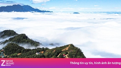 Y Ty en la estación nublada más hermosa del año.