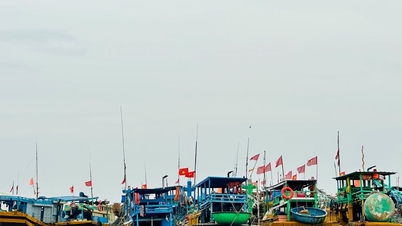 Implementering av elektroniskt fiskeloggsystem