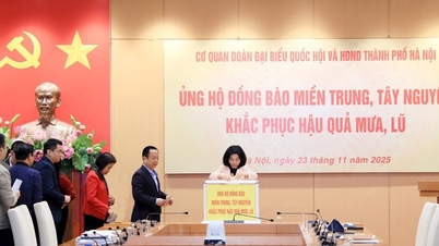 Nationalförsamlingens delegation och Hanois folkråd stöder människor som drabbats av översvämningarna