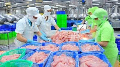 ڈونگ تھاپ ایک جدید زرعی ماحولیاتی نظام بناتا ہے۔