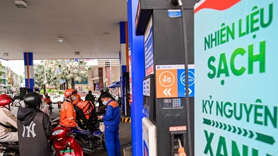 Od 1. června 2026 se bude prodávat pouze benzín E10; bankovní transakce s použitím cestovních pasů budou brzy ukončeny.