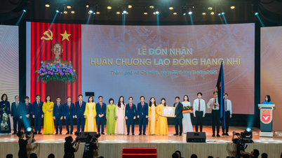 Університет Ван Ланга святкує 30-річчя та отримує медаль праці другого ступеня