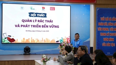 يسعى شباب دا نانغ إلى "الحد من النفايات - زيادة المساحات الخضراء"