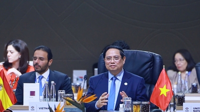 Premier Pham Minh Chinh zaproponował trzy gwarancje strategiczne na konferencji G20.