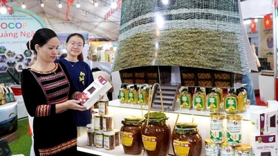 Использование туристического потенциала для стимулирования потребления продукции в горных, отдаленных и островных районах