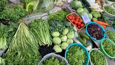 Groenteprijzen in Hanoi blijven hoog