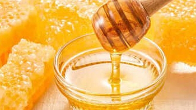 Мед — ценное лекарственное растение, которое может стать токсичным при неправильном обращении.