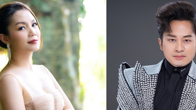 সাও মাই দিয়েম হেন একসময় পেশাদার এবং জনপ্রিয় উভয়ই ছিলেন।