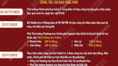 Premiärminister Pham Minh Chinh håller brådskande onlinemöte om översvämningsberedskap i centrala Vietnam