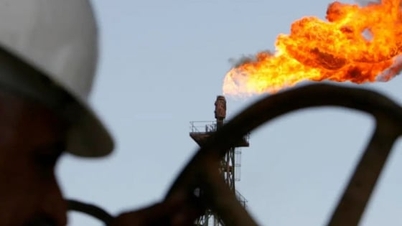 2025年11月23日のガソリン価格：今週は世界的に大きく下落した