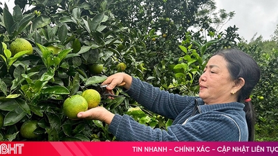 Підвищення ефективності економічних моделей, створення імпульсу для сталого розвитку