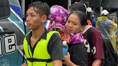 في خضم كل هذه الخسارة، تضيء الوطنية الدفء