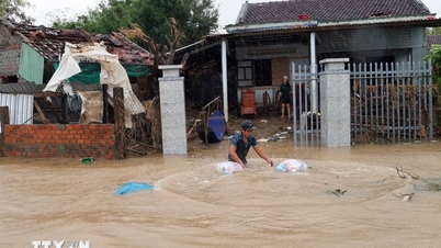 Sprijin de urgență de 1.100 miliarde VND pentru 4 provincii Khanh Hoa, Lam Dong, Gia Lai și Dak Lak