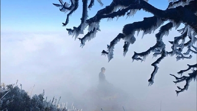 Khách thích thú check in đỉnh Fansipan phủ băng tuyết trắng như bông