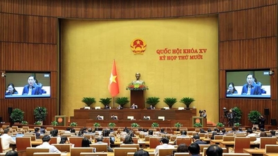 第15期国会第10会期第6週