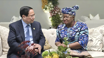 Premierminister bittet WHO um Unterstützung bei der Krankheitsprävention nach historischen Stürmen und Überschwemmungen.