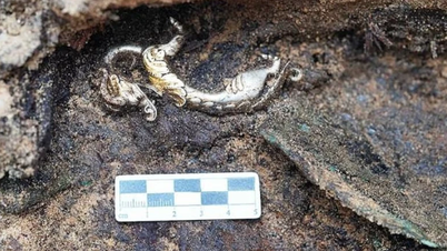 Odkryto starożytny grobowiec Xiongnu z dziwną srebrną figurą smoka